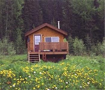 Bear Corner Adventures Bed & Bale Golden Exterior foto